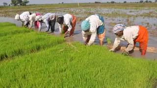 దళిత బంధు ఓ పథకం కాదు.. ఇది ఓ ఉద్యమం.. రాష్ట్రాభివృద్ధిలో అట్టడుగు వర్గాలు భాగస్వామ్యం కావాలిః సీఎం కేసీఆర్