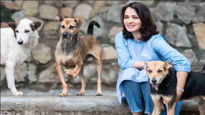 Amala Akkineni: బ్లూక్రాస్ సంస్థ పై వస్తున్న వార్తలు అవాస్తవం.. క్లారిటీ ఇచ్చిన చైర్ పర్సన్ అమల..