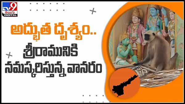 అద్భుత దృశ్యం.. శ్రీరామునికి నమస్కరిస్తున్న వానరం..ఫిదా అవుతున్న భక్తులు..:Monkey Saluting,Lord Rama Video.
