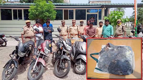 Ambergris: ఆన్లైన్లో అమ్మకానికి తిమింగలం వాంతి.. ఊహించని షాక్ ఇచ్చిన ఫారెస్ట్ ఆఫీసర్లు..