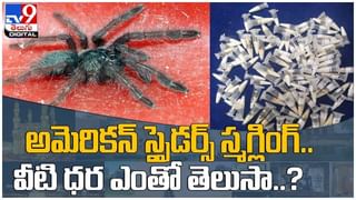 Viral Video: గేదెతో నిరసనకు దిగారు…!! కానీ అంతలోనే షాకింగ్‌ ఘటన…!! ( వీడియో )