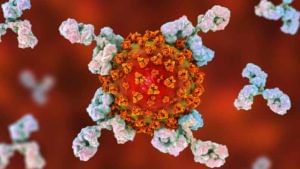 Antibodies: కరోనా తగ్గిన తరువాత యాంటీబాడీస్ 9 నెలల పాటు శరీరంలో ఉంటాయి.. తాజా పరిశోధనల్లో వెల్లడి!