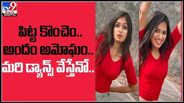 Ariana Funny Dance Video: పిట్ట కొంచెం.. అందం అమోఘం.. మరి డ్యాన్స్‌ వేస్తేనో..?డాన్స్ వీడియోతో ఆకట్టుకుంటున్న అరియనా.