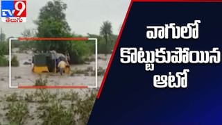 Telangana Rains: వానొచ్చె, వరదలు తెచ్చె.. రోడ్లపైనే  చేపల వేట.. ఒక్కోటి కిలోకు పైనే