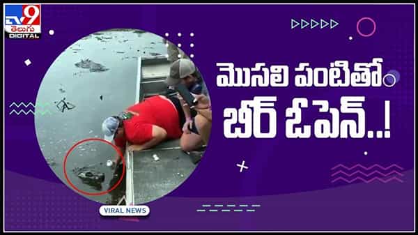 crocodile tooth Video : మొసలి పంటితో బీర్ ఓపెన్ ..!షాక్ కు గురి చేస్తున్న వైరల్ వీడియో..
