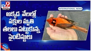 Covid-19 Third Wave: ఇండోనేషియాలో మరణ మృదంగం.. ఒక్కరోజే కరోనాతో 1,205 మంది మృతి