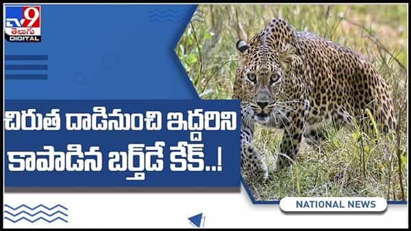 Birthday cake help video:చిరుత దాడినుంచి అన్నదమ్ముల ఇద్దరిని కాపాడిన బర్త్‌డే కేక్‌..! వైరల్ అవుతున్న వీడియో.