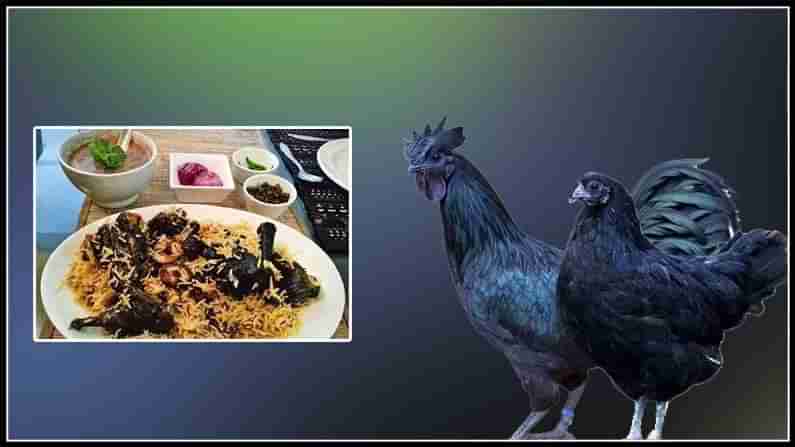 Kadaknath Poultry : కడప జిల్లాలో కడక్‌నాథ్ కోళ్ల పెంపకం.. ఉత్పత్తికి ప్రభుత్వం నుంచి గ్రీన్ సిగ్నల్