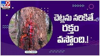 Viral Video: తల్లీకూతురు రాయల్‌ ఎన్‌ఫీల్డ్‌ పై ట్రిప్‌.. కేరళ టూ కశ్మీర్‌..! వీడియో