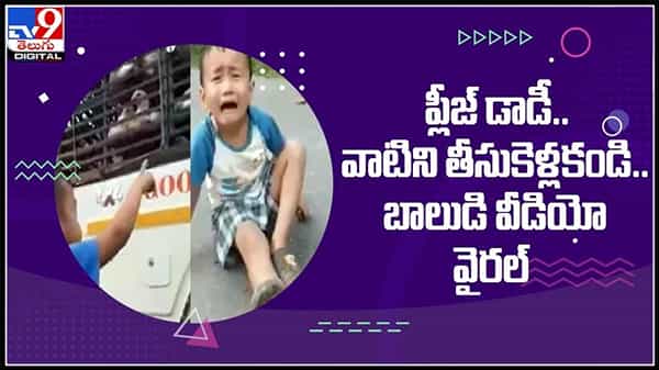 డాడీ ప్లీజ్ డాడీ.. వాటిని తీసుకెళ్లకండి బోరున ఏడుస్తున్న బాలుడు..వైరల్ అవుతున్న వీడియో :Boy cries Viral Video.