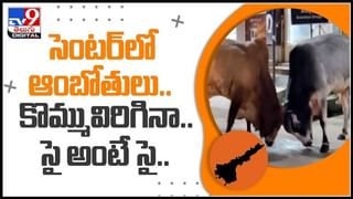 Kondapalli Mining: తెలుగుదేశం పార్టీని ఏదో చేయాలని చూస్తున్నారు.. సంచలన ఆరోపణలు చేసిన చంద్రబాబు