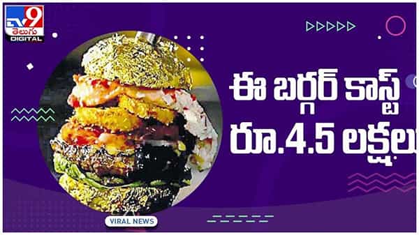 యజమానిని ప్రపంచ రికార్డులకెక్కించిన బర్గర్..!! ధర తెలిస్తే షాక్ అవ్వాల్సిందే..!! ( వీడియో )