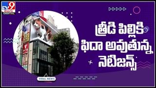 ప్రపంచంలోనే అత్యంత లోతైన స్విమ్మింగ్ పూల్..ఆసక్తి రేపుతోన్న డీప్ డైవ్ దుబాయ్!వైరల్ వీడియో..:Worlds Deepest Swimming Pool Video.ideo.