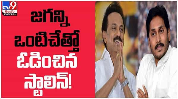CM Stalin: జగన్ని ఒంటిచేత్తో ఓడించిన స్టాలిన్...!! జనాదరణలో స్టాలిన్ అగ్రస్థానం... ( వీడియో )