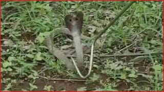 పంజాబ్ తరువాత ఇప్పుడు ఉత్తరాఖండ్ ప్రజలకు ఉచిత విద్యుత్ ఇస్తాం..ఢిల్లీ సీఎం అరవింద్ కేజ్రీవాల్..