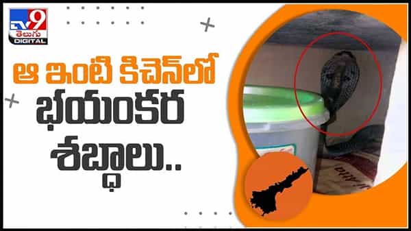 ఆ ఇంటి కిచెన్ లో భయంకర శబ్ధాలు ..తీరా చుస్తే బుస్సలు కొడుతున్న నాగ పాము..:Snake In Kitchen Video.