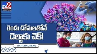 Ashadam Mehendi: పెద్దలమాట చద్దిమూట.. ఆషాడంలో గోరింటాకును మహిళలు పెట్టుకోవడంలో శాస్త్రీయ కోణం..