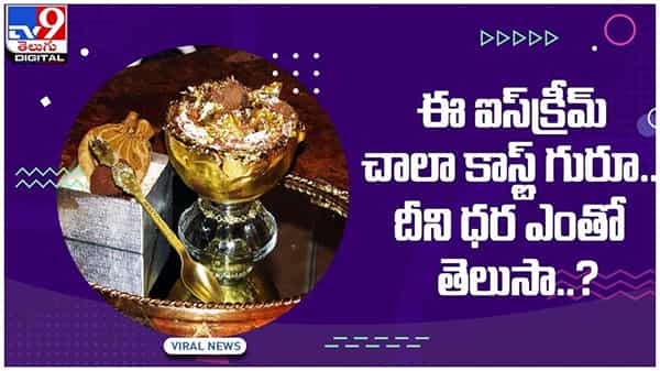 Viral Video: ఈ ఐస్క్రీమ్ చాలా కాస్లీ గురూ..!! దీని ధర ఎంతో తెలిస్తే షాక్ అవుతారు..?? వీడియో