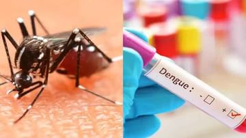 Dengue Cases: కరోనా బాధితుల్లో కొత్త గుబులు.. వానాకాలంలో వణికిస్తున్న సీజనల్ వ్యాధులు..