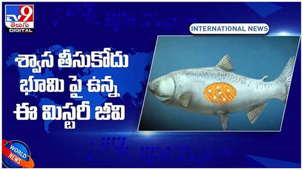 Viral Video: శ్వాస తీసుకోదు..!! ఆక్సిజన్ అవసరం లేదు..!! భూమిపై జీవిస్తున్న ఓ మిస్టరీ జీవి.. వీడియో