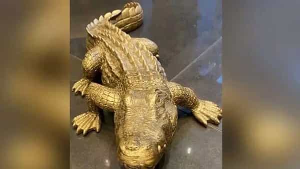 Viral News: సడెన్గా ఎదుటకొచ్చిన మొసలి.. భయంతో పరుగులు తీసిన మహిళ.. అసలు విషయం తెలిసి నవ్వుకున్న పోలీసులు..