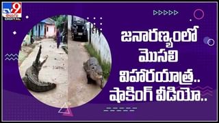 Viral Video: పెళ్లిలో నవ వధువు కత్తి విన్యాసాలు.. అబ్బురపరిచే వీడియో.. చూస్తే నోరెళ్లబెట్టాల్సిందే.!