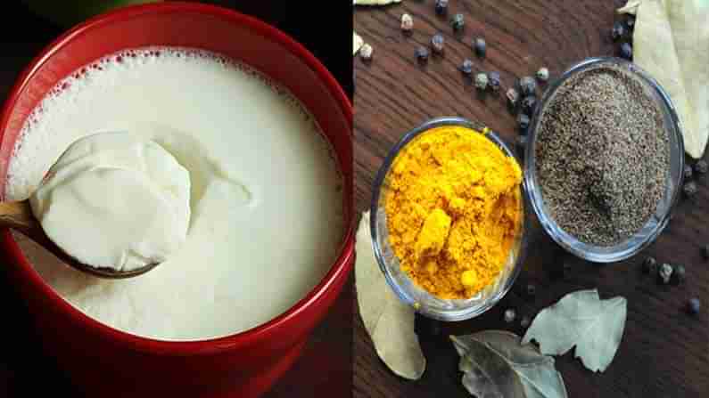 Ayurveda Curd: పెరుగు తినడం ఇష్టం లేదా.. మీరు ఎన్ని ఆరోగ్య ప్రయోజలు మిస్ అవుతున్నారో తెలుసా..!