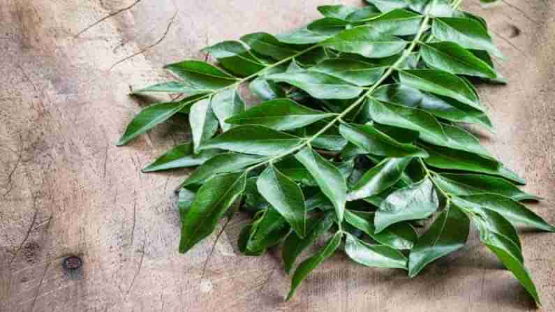 Curry Leaves benefits: తినేప్పుడు కరవేపాకును పడేస్తున్నారా ? అయితే మీరు ఈ ప్రయోజనాలను తెలుసుకోవాల్సిందే...