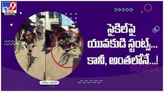 Five Horns Sheep: నెటిజన్లను ఆశ్చర్యానికి గురి చేస్తోన్న అయిదు కొమ్ముల గొర్రె.. ఎక్కడో తెలుసా.? Viral Video