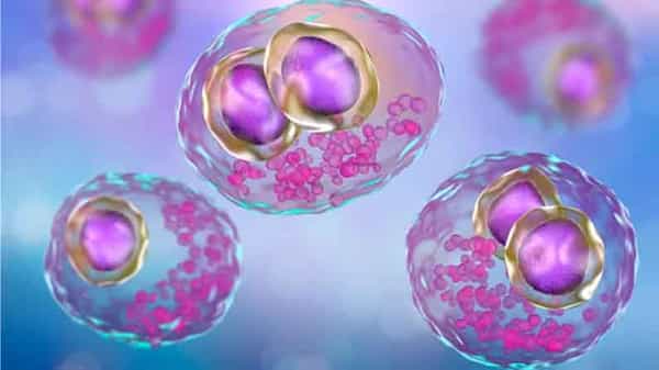 Cytomegalovirus: కరోనాతో బాధపడుతున్న వారిని ఇబ్బంది పెడుతున్న మరో వైరస్.. ఢిల్లీ లో వెలుగులోకి
