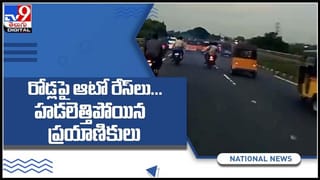 చెరువు నిండా చేపలే..ఒక్కోటి 30కిలోలు పైనే..ఎక్కడంటే..!ఎగబడుతున్న జనం..అరుదైన దృశ్యం..:Big Fishes video.