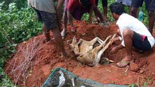 KP Ulli: కడప కె.పి ఉల్లికి జియో ట్యాగ్‌ ఇవ్వాలంటోన్న పరిశోధకులు.. విదేశాలకు ఎగుమతయ్యే ఈ ఉల్లి ప్రత్యేకతలేంటంటే.