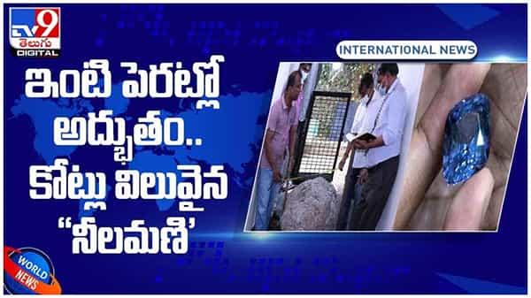 ఇంటి పెరట్లో అద్భుతం.. రూ.745 కోట్లు విలువగల నీలమణి..!