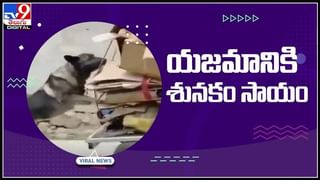 నది దాటుతున్న ట్రక్.. అంతలోనే ఒక్కసారిగా కుప్పకూలిన వంతెన..!వైరల్ అవుతున్న వీడియో.:Truck In River Video.