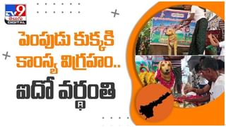 Viral Video: ఇలాంటి ఐడియాలు ఎలా వస్తాయిరా బాబూ..? ట్రక్కులో స్విమ్మింగ్‌.. నెటిజన్లు షాక్