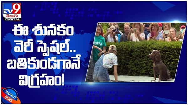 ఈ శునకం వెరీ స్పెషల్.. తికుండగానే కాంస్య విగ్రహం ఏర్పాటు...!! ఎక్కడంటే..?? ( వీడియో )