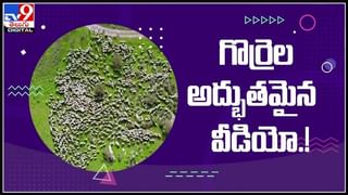 పాపం ఈ అక్క కష్టం ఎవరికీ రావొద్దు..కరోనా వ్యాక్సిన్ వేయించుకునేందుకు మహిళ చేసిన మారాం..నవ్వకుండా వీడియో చుడండి :Viral Video.