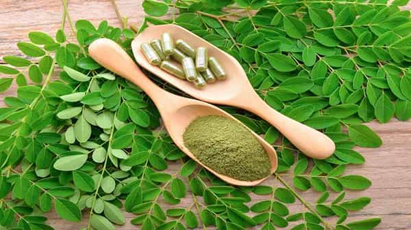 Hair Care: జుట్టు ఎక్కువగా రాలిపోతుందా ? అయితే ములక్కాయ ఆకులను ఇలా వాడితే జుట్టు సమస్యలు దూరం.. ఎలాగంటే..
