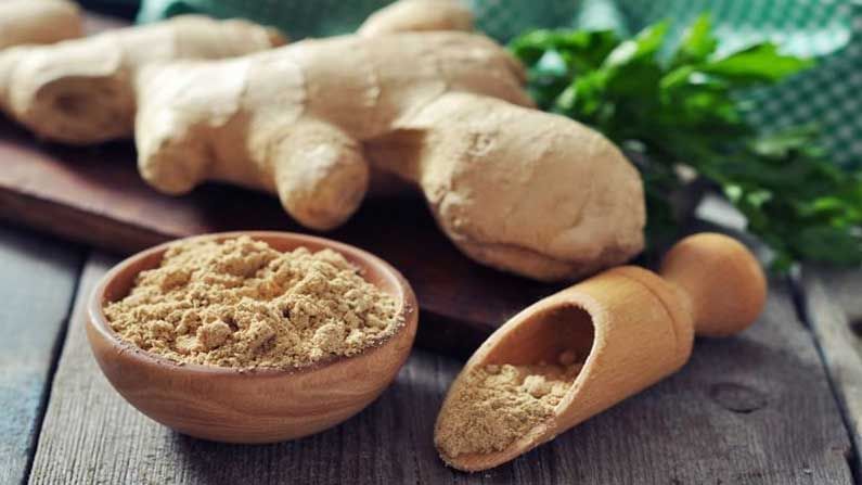 Dry Ginger Benefits: సర్వరోగ నివారిణి.. మహా ఓషది శొంఠి... వర్షాకాలంలో వచ్చే  వ్యాధుల నుంచి రక్షణ కల్పిస్తుందో తెలుసా | Amazing health benefits of the  miracle dry ginger | TV9 Telugu