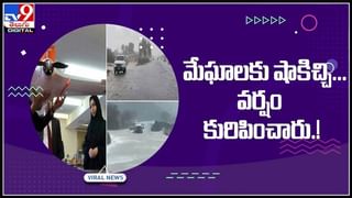 Viral Video: అమాంతంగా భారీ గుడ్డును మింగేసిన పాము.. సోషల్‌ మీడియాలో షాకింగ్‌ వీడియో వైరల్‌..!