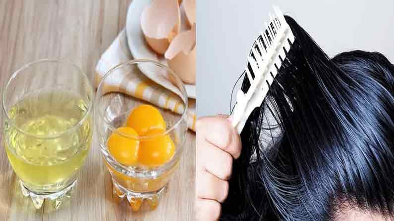 Egg Benefits of Hair: గుడ్డు మంచి పోషకారమే కాదు .. జుట్టుకు అందాన్ని, పోషకాన్ని ఇచ్చే సౌందర్యం సాధనం..