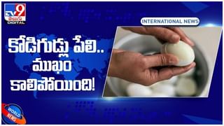 Viral Video: రోడ్డుపై డేంజరస్ బైక్ స్టంట్..!! అంతలోనే ఊహించని ట్విస్ట్..!! వీడియో