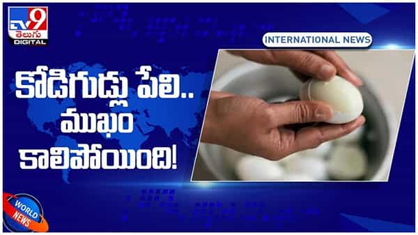 Viral Video: బాంబుల్లా పేలిన కోడిగుడ్లు..!! మహిళ ముఖానికి తీవ్రగాయాలు..!! వీడియో