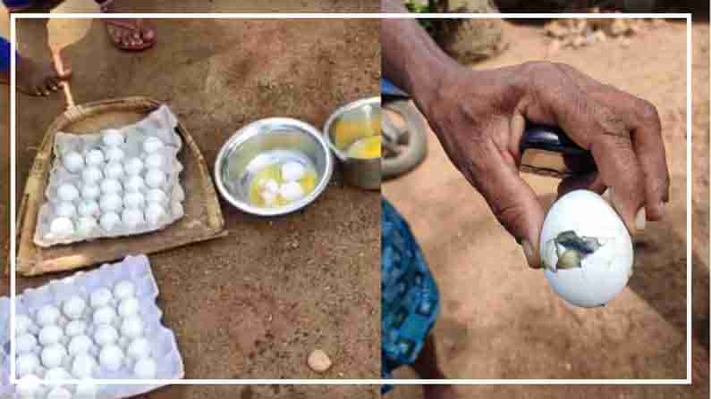 Rotten Eggs: నిర్లక్ష్యం.. నిద్ర మత్తు.. గర్భిణీలకు కుళ్లిన కోడిగుడ్ల పంపిణీ..