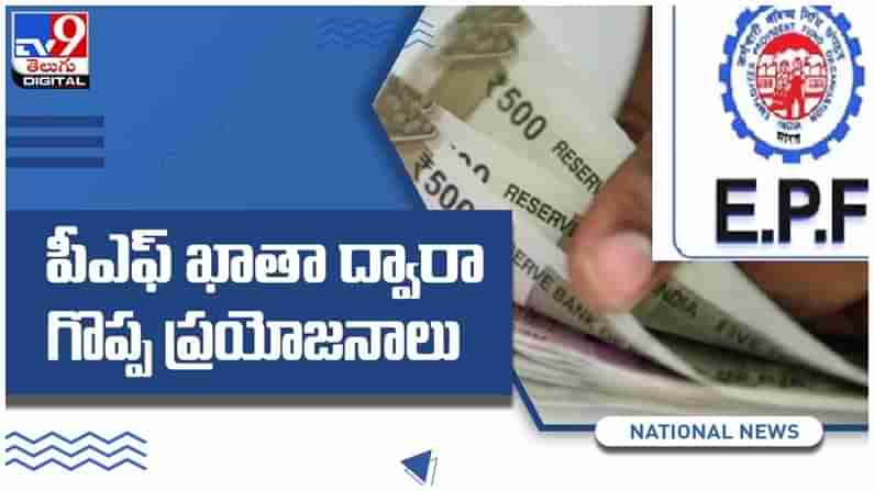 EPFO Rules: ప్రావిడెంట్ ఫండ్ ఖాతా ద్వారా గొప్ప ప్రయోజనాలు..!! అవేంటో తెలుసుకోండి... ( వీడియో )