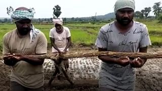 Sand Mafia: జయశంకర్ భూపాలపల్లి జిల్లాలో బరితెగిస్తున్న సాండ్ మాఫియా.. పట్టించుకోని అధికారులు..