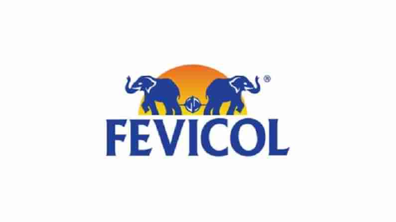 Fevicol: ఫెవికోల్ సంస్థ పేరు.. కానీ అందులో అతికించే తెల్లని ద్రవ పదార్థాన్ని ఏమని పిలుస్తారో తెలుసా..