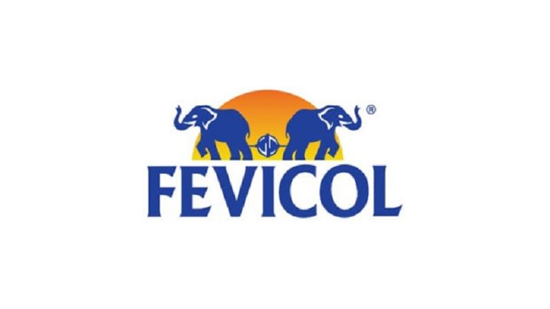 Fevicol: ఫెవికోల్ సంస్థ పేరు.. కానీ అందులో అతికించే తెల్లని ద్రవ పదార్థాన్ని ఏమని పిలుస్తారో తెలుసా..
