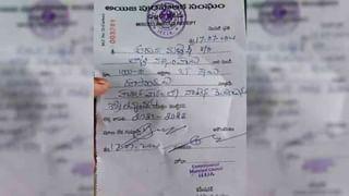 Telangana TDP President: తెలంగాణ టిడిపి రాష్ట్ర అధ్యక్షుడిగా బక్కని నర్సింహులు.. ఖరారు చేసిన అధినేత చంద్రబాబు