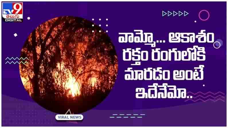 Viral Video: వామ్మో..!! ఆకాశం రక్తం రంగులోకి మారడం అంటే ఇదేనేమో...!! ( వీడియో )